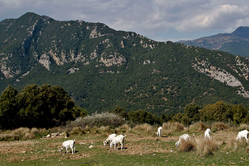 girona bike tour